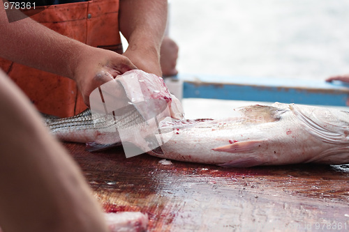 Image of Cleaning a Fish