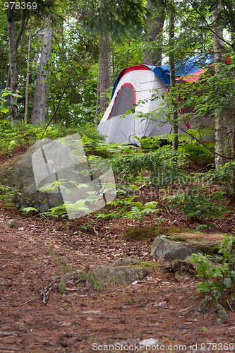 Image of Forest Tent Camping 