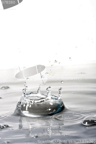 Image of Clear Water Splash