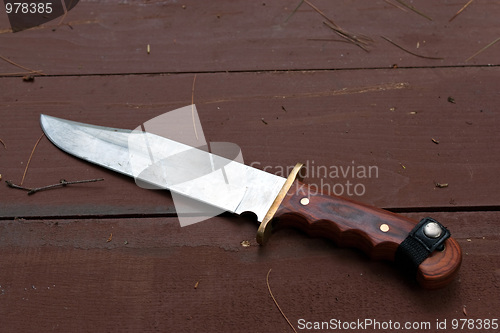 Image of Large Bowie Knife