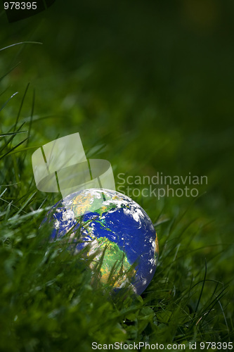 Image of Green Earth Concept