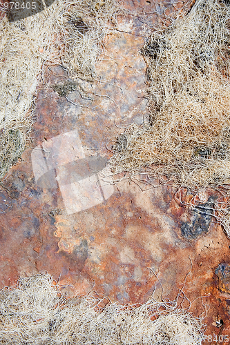 Image of Fishing net