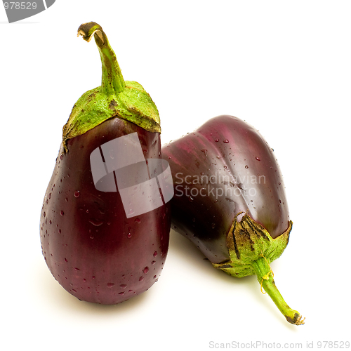 Image of Two eggplants