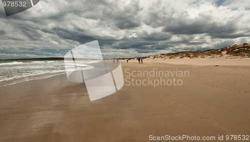 Image of Beach