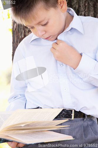 Image of Serious boy reading book