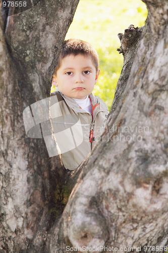 Image of Serious boy behind tree