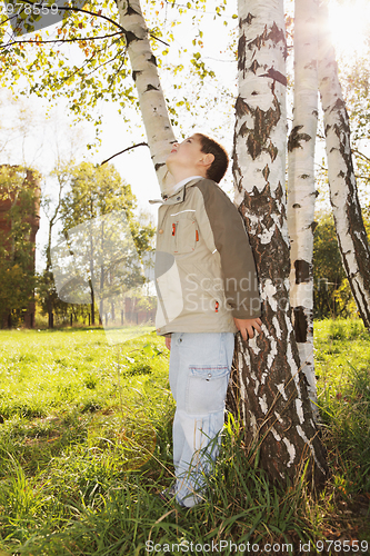 Image of Little boy at birch tree in park