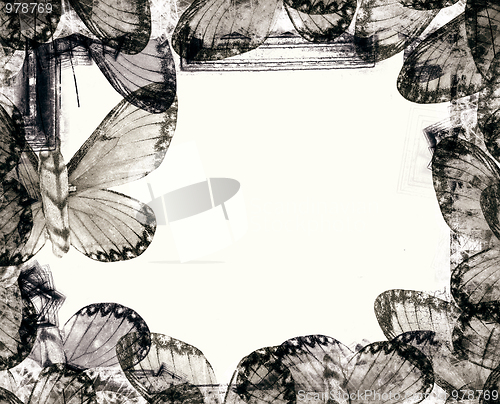 Image of Grunge border