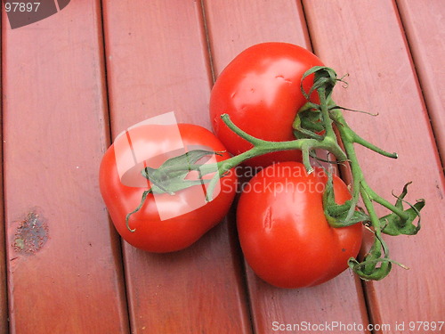 Image of A ripe bunch