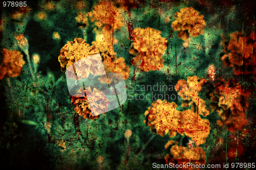 Image of Grunge floral background