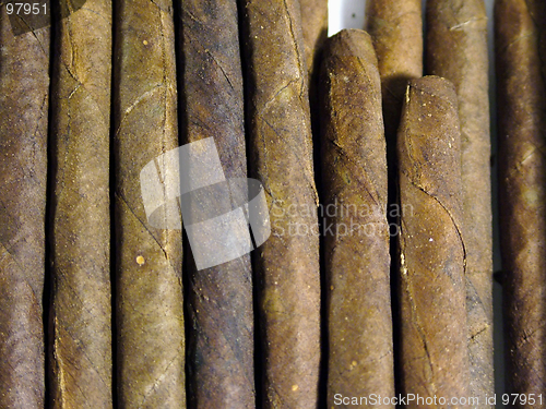 Image of Dissimilarity of identical things. (Cigars pattern)