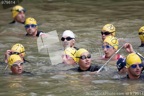 Image of swimmers