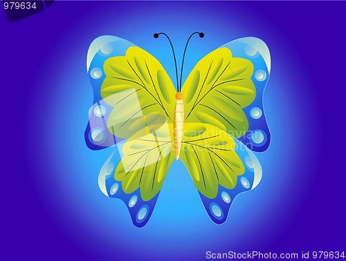 Image of Drawing of the butterfly