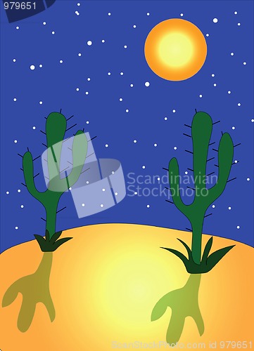 Image of Night in desert