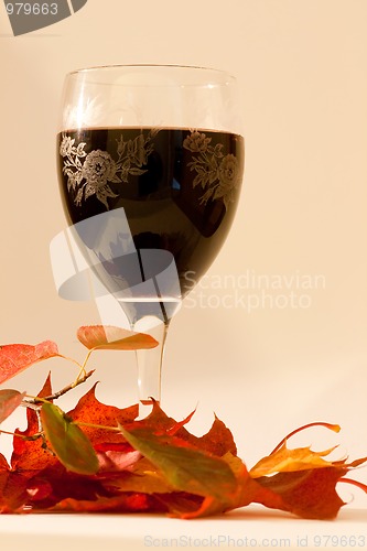 Image of Fall wine