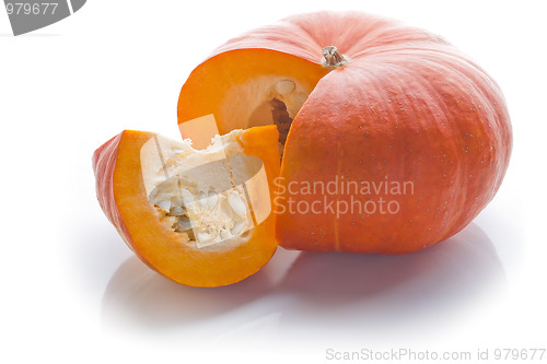 Image of Pumpkin