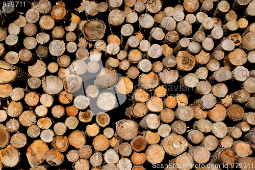 Image of Firewood Background