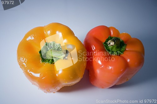 Image of Isolated Orange and Yellow Peppers