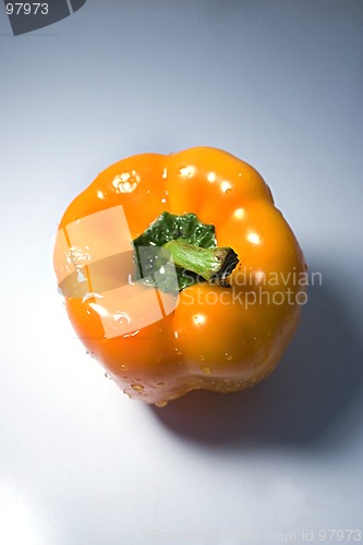 Image of Isolated Orange Pepper