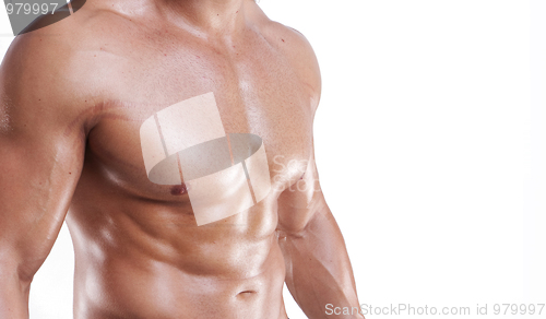 Image of Muscular male torso isolated on white