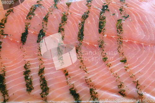 Image of Salmon