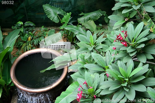 Image of Tropical garden