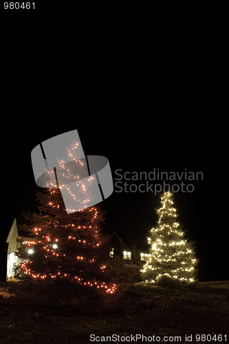 Image of christmas trees
