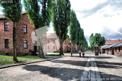 Image of Auschwitz Birkenau concentration camp