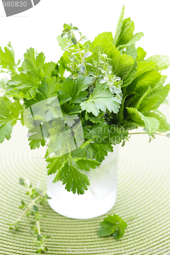 Image of Fresh herbs in a glass
