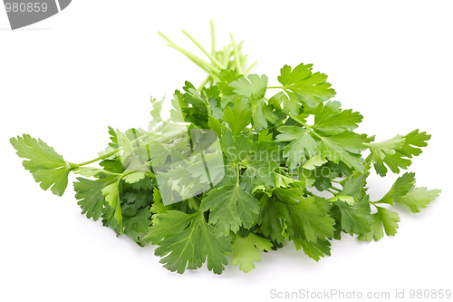 Image of Fresh parsley on white background