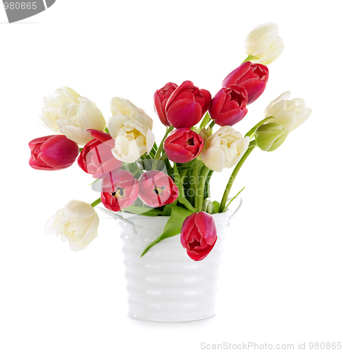 Image of Red and white tulips