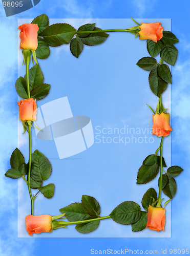 Image of Rose frame 5a
