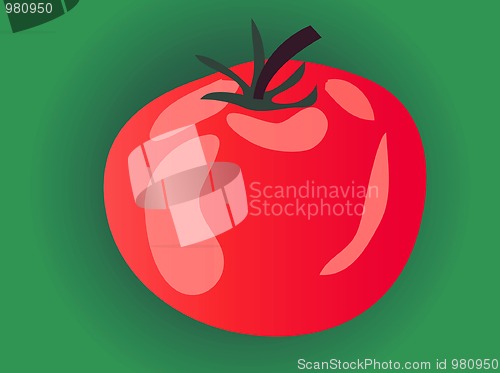 Image of Ripe tomato on green background