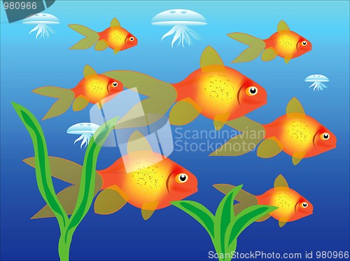 Image of Tropical beautiful fishes in water