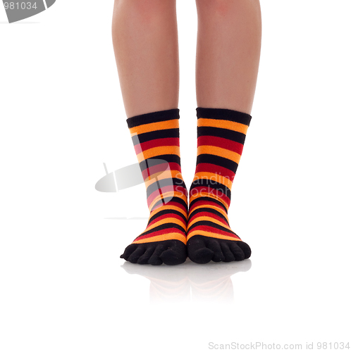 Image of woman legs in zebrine socks