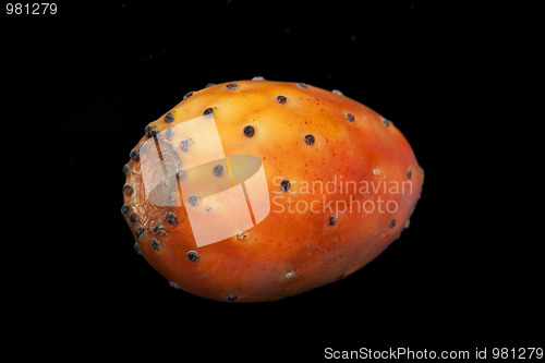 Image of Cactus fruit