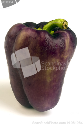 Image of purple bell pepper