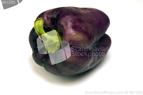 Image of purple bell pepper 
