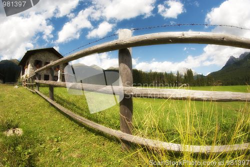 Image of Meadows of Val Visdende, Italy