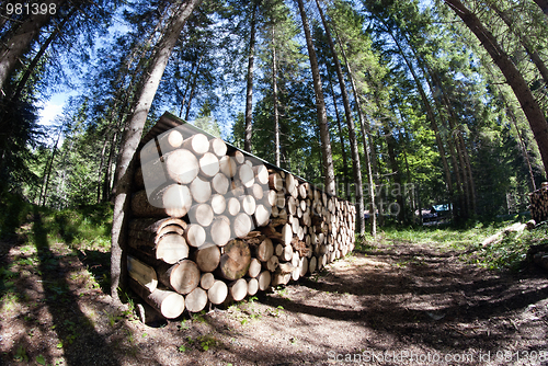 Image of Lumber, Dolomites