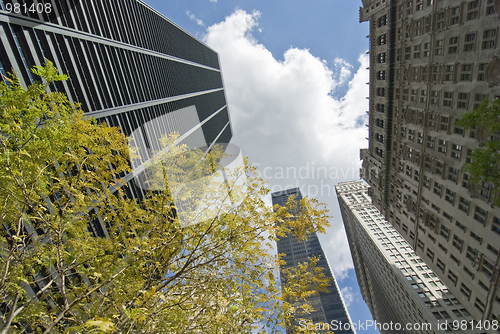 Image of Buildings of New York City