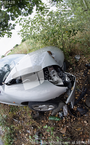 Image of Car against a Tree, Italy