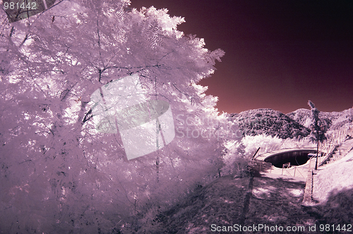 Image of Infrared Picture of a Agriturismo in Tuscany