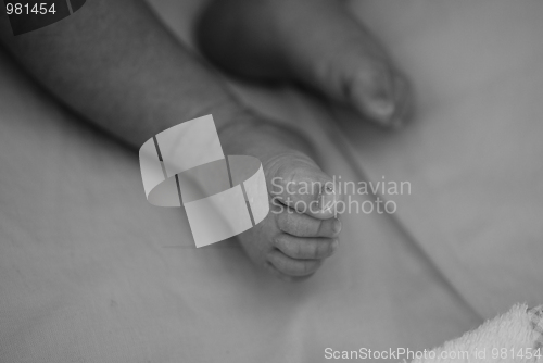 Image of Newborn Feet