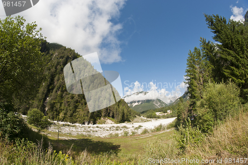 Image of Dolomites Woods, Italy