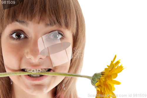 Image of Portrait of the girl with yellow gerbera in teeth