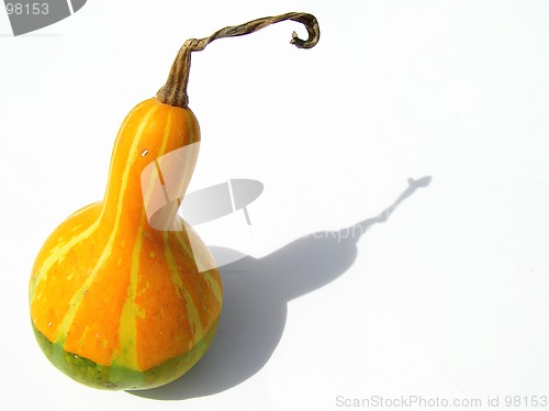 Image of orange and green pumpkin