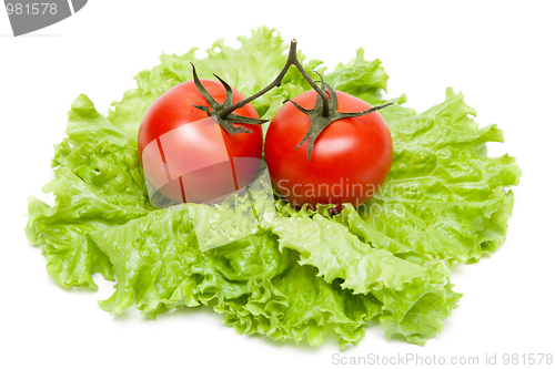 Image of Two ripe tomatoes on sheet of the salad