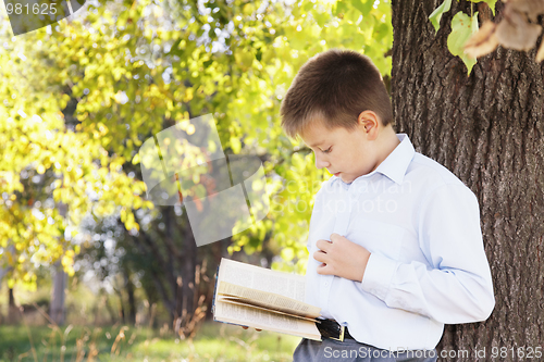 Image of Boy reading book in park