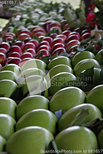 Image of Red And Green Apples